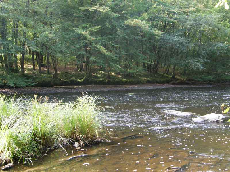 photo 6 promenade  Ourthe Nadrin Houffalize